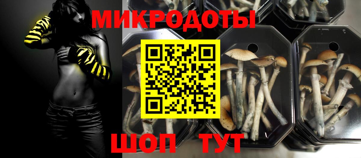 Псилоцибиновые грибы ЛСД Курчалой