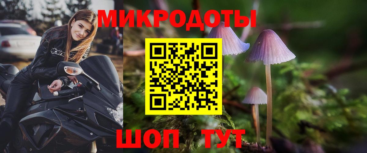 Псилоцибиновые грибы прущие грибы  Псилоцибиновые грибы Cubensis  Курчалой  где найти наркотики  Вход с VPN 