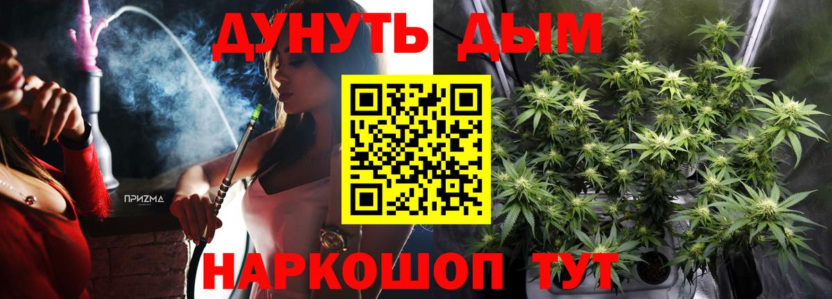 Конопля AK-47 Курчалой